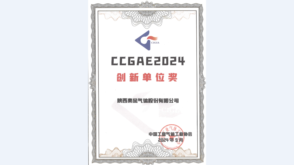 VKGAME荣获CCGAE2024创新单位奖