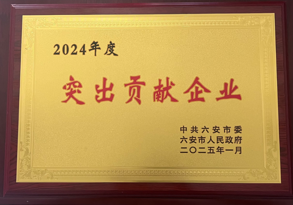 六安VKGAME荣获“突出贡献企业”